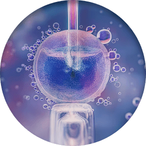 ivf