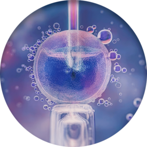 ivf cost