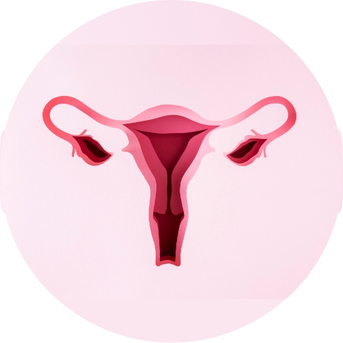 Cervical cancer - سرطان عنق الرحم - Can IVF Cause Cancer?