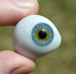 Ocular Prosthesis (eye prosthetic) image