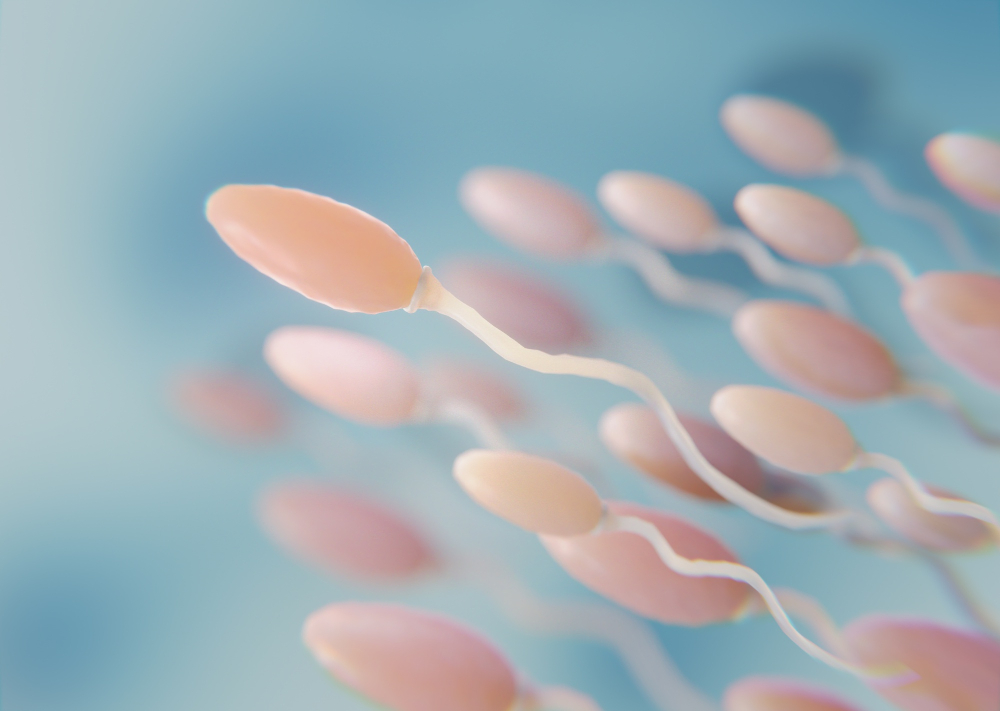Sperm Sample For IVF -